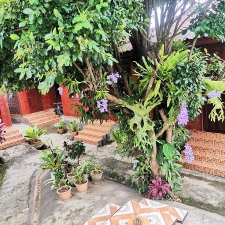 Kongkeo Guesthouse Muang Phônsavan Εξωτερικό φωτογραφία